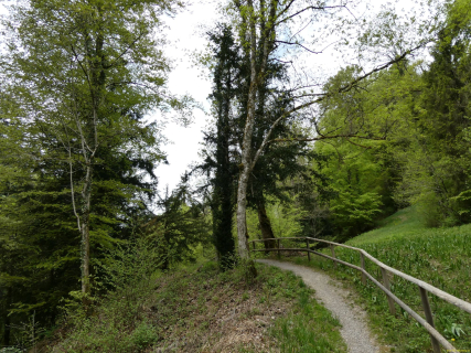 2026-04-28-SACRS-A-Schauenberg-62-1