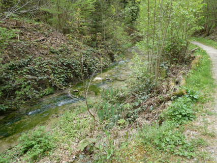 2026-04-28-SACRS-A-Schauenberg-65-1