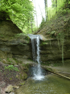 2026-04-28-SACRS-A-Schauenberg-71-1