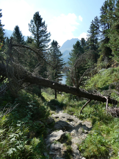 2026-08-03-SAC-Maloja-Fornohuet-019