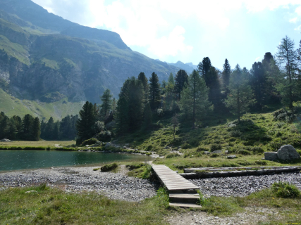 2026-08-03-SAC-Maloja-Fornohuet-024