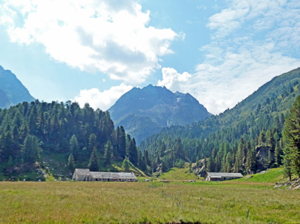 2026-08-03-SAC-Maloja-Fornohuet-029_bearbeitet-1