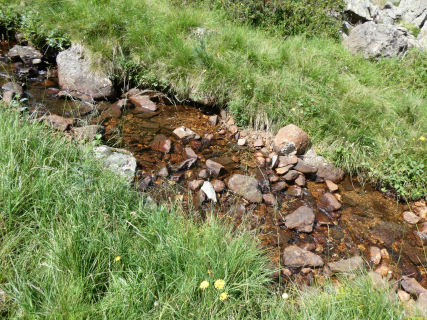 2026-08-03-SAC-Maloja-Fornohuet-033