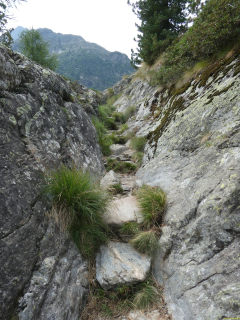 2026-08-03-SAC-Maloja-Fornohuet-036