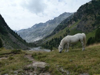 2026-08-03-SAC-Maloja-Fornohuet-042