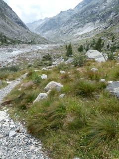 2026-08-03-SAC-Maloja-Fornohuet-055