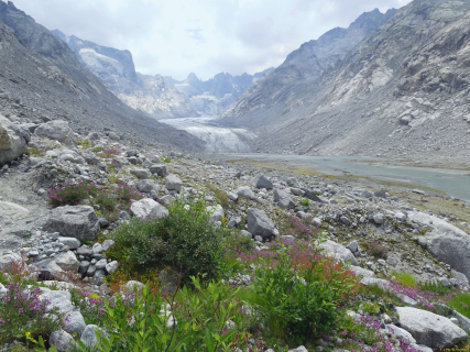 2026-08-03-SAC-Maloja-Fornohuet-083_bearbeitet-1