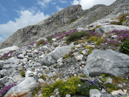 2026-08-03-SAC-Maloja-Fornohuet-093
