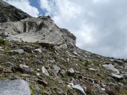 2026-08-03-SAC-Maloja-Fornohuet-108