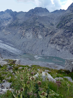 2026-08-03-SAC-Maloja-Fornohuet-115_bearbeitet-1