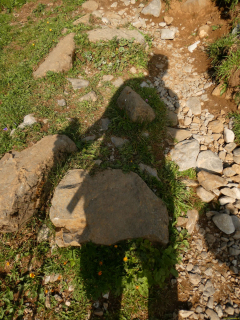 2026-07-21-SAC-Mesmer-Altenalp-010