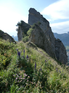 2026-07-21-SAC-Mesmer-Altenalp-061