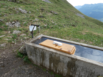 2026-07-21-SAC-Mesmer-Altenalp-098