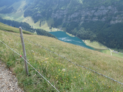 2026-07-21-SAC-Mesmer-Altenalp-104