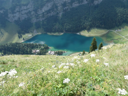 2026-07-21-SAC-Mesmer-Altenalp-106