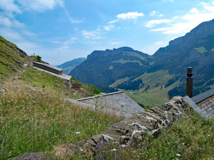 2026-07-21-SAC-Mesmer-Altenalp-109_bearbeitet-1