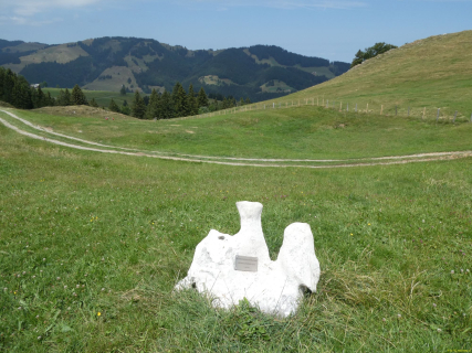 2026-07-21-SAC-Mesmer-Altenalp-127