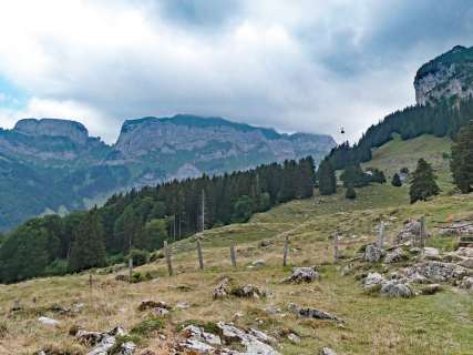 2026-07-21-SAC-Mesmer-Altenalp-129_bearbeitet-1
