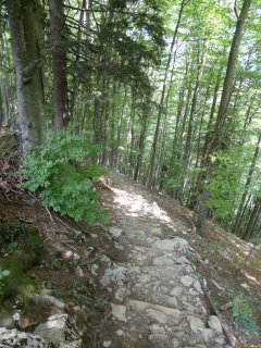 2026-07-21-SAC-Mesmer-Altenalp-131