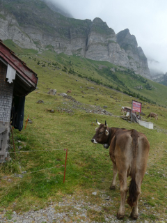 2026-07-20-SAC-Saentis-Mesmer-014