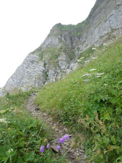 2026-07-20-SAC-Saentis-Mesmer-023