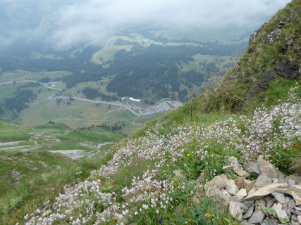 2026-07-20-SAC-Saentis-Mesmer-071