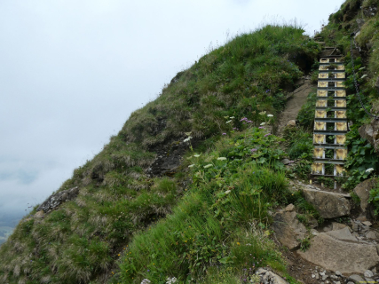 2026-07-20-SAC-Saentis-Mesmer-072