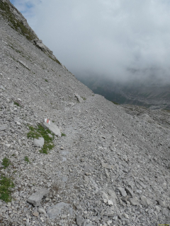 2026-07-20-SAC-Saentis-Mesmer-253