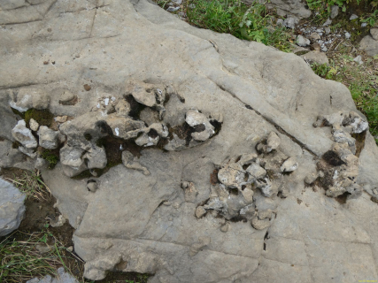 2026-07-20-SAC-Saentis-Mesmer-274