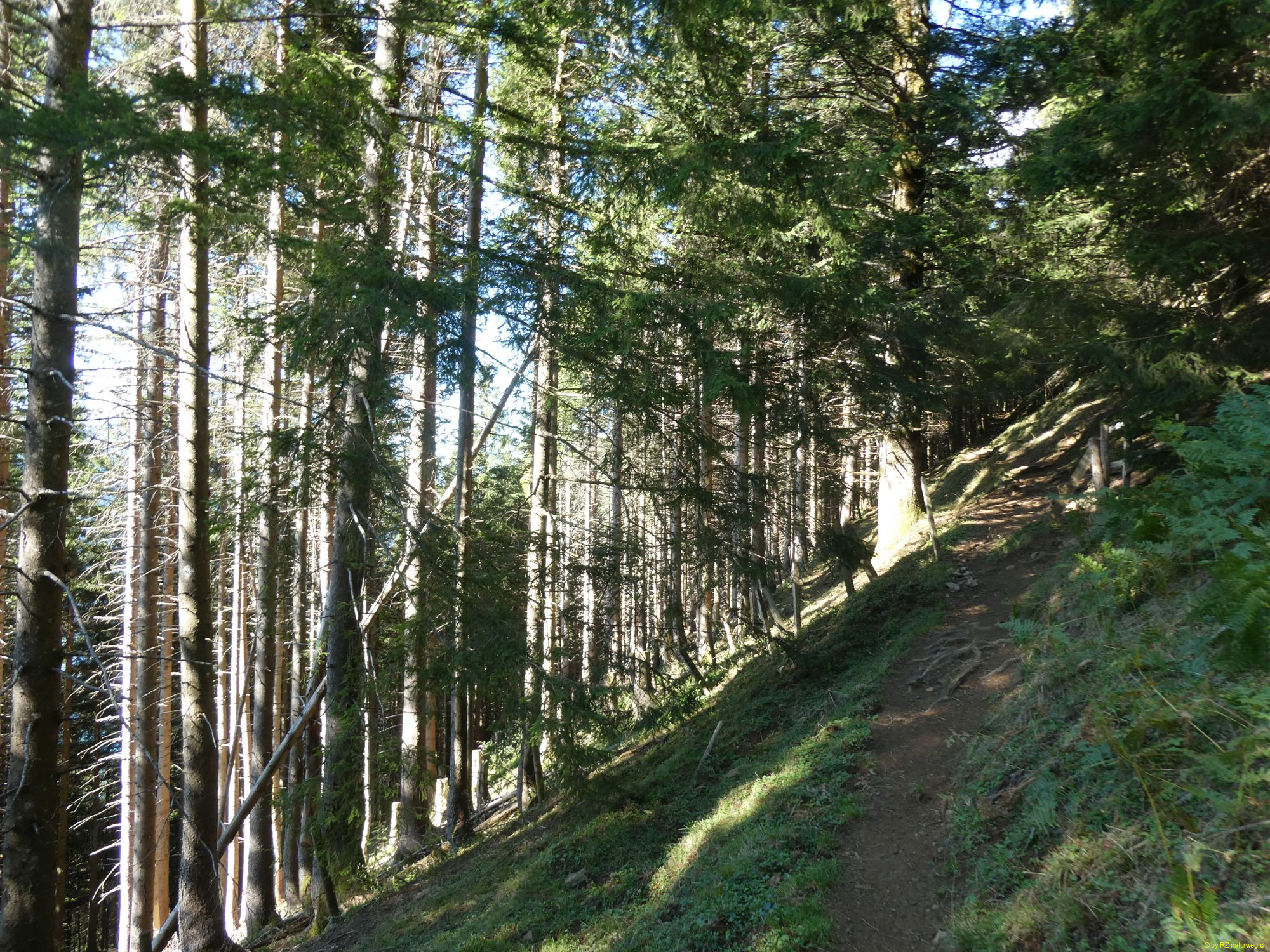 2026-09-01-SAC-A-Urmiberg-019