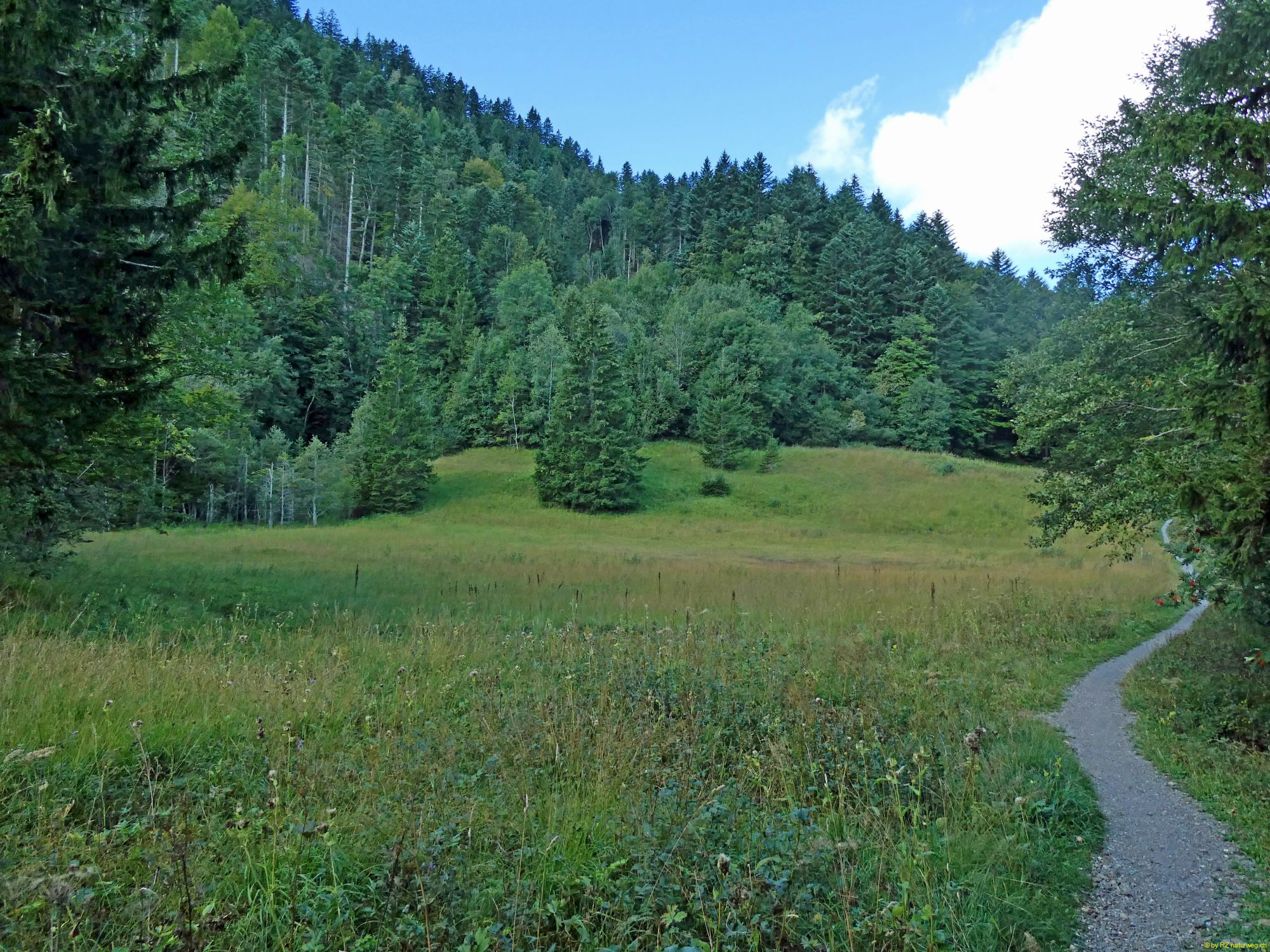 2026-09-01-SAC-A-Urmiberg-030_bearbeitet-1