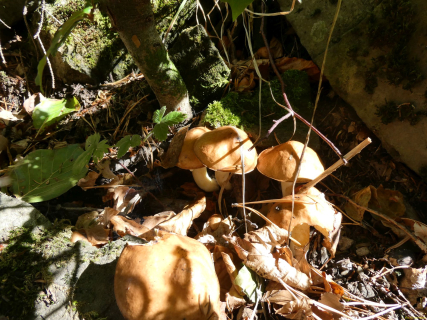2026-09-01-SAC-A-Urmiberg-020