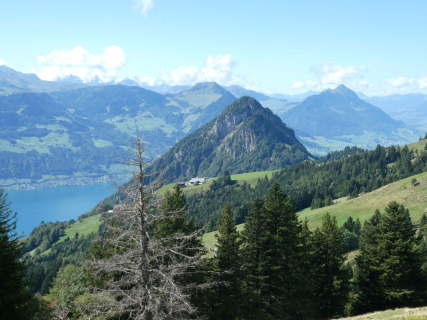 2026-09-01-SAC-A-Urmiberg-044