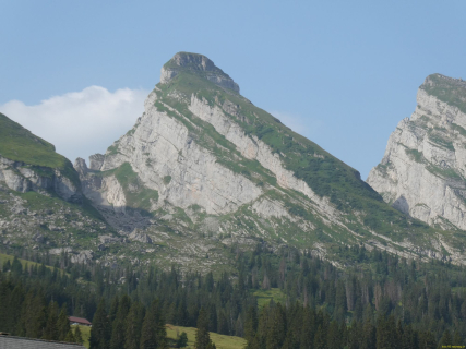 P1006319