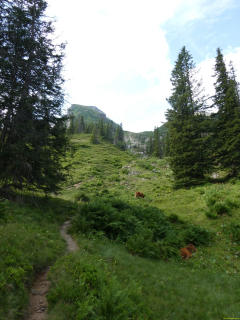 P1006329