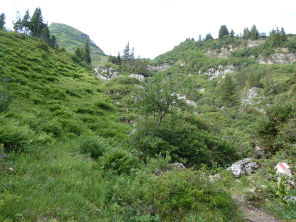 P1006333