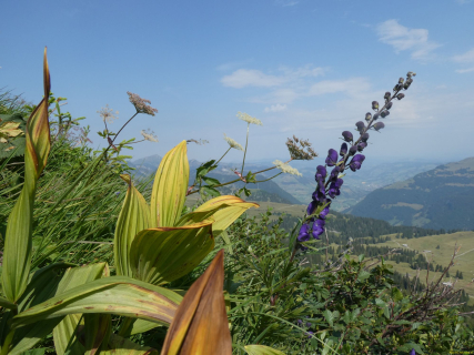 P1006356