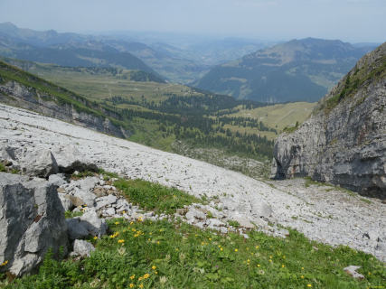 P1006436
