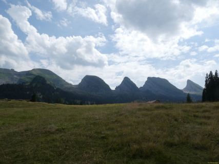 P1006510