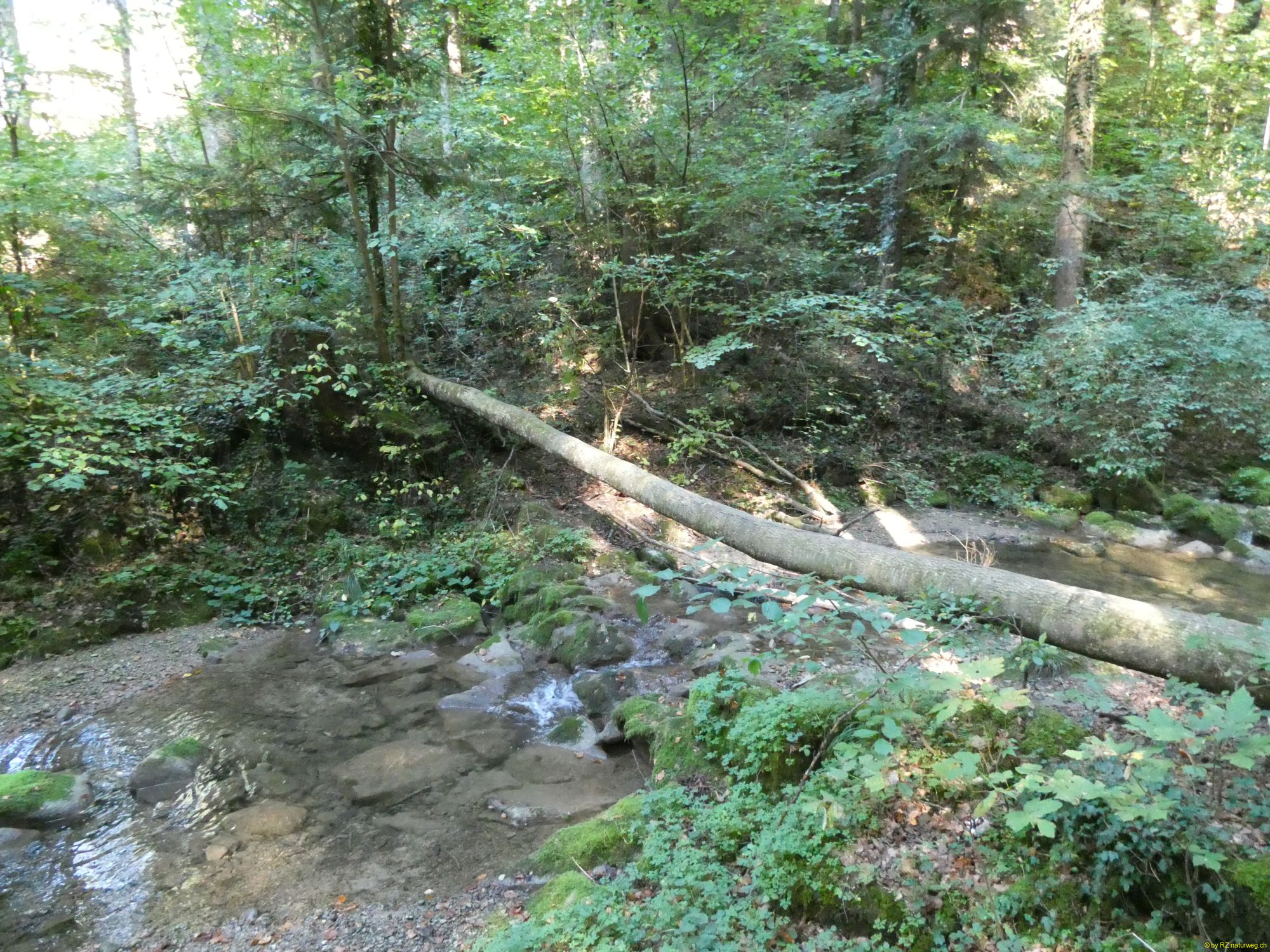 2026-10-06-SAC-Fi-Huettchopf-Wa-078
