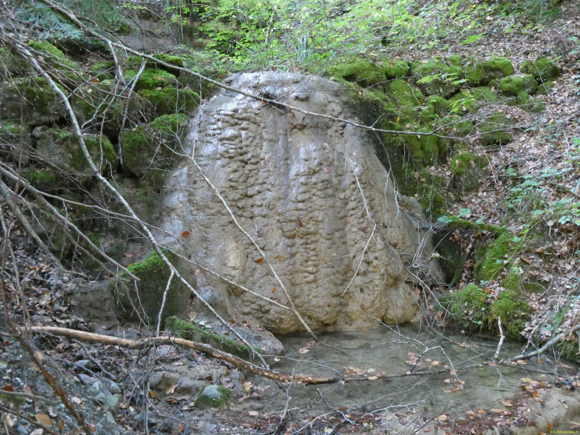 2026-10-06-SAC-Fi-Huettchopf-Wa-080