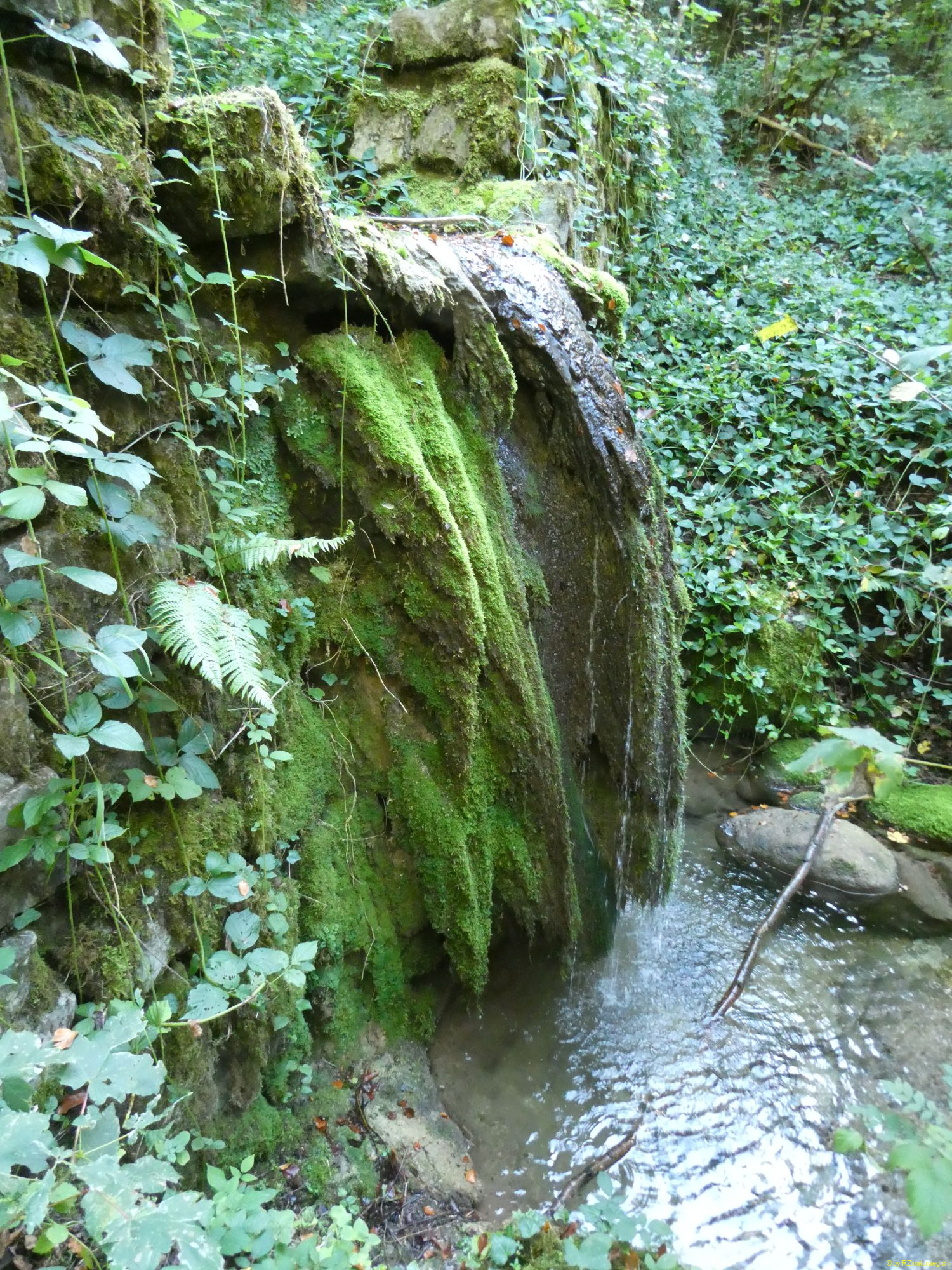 2026-10-06-SAC-Fi-Huettchopf-Wa-085