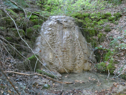 2026-10-06-SAC-Fi-Huettchopf-Wa-080