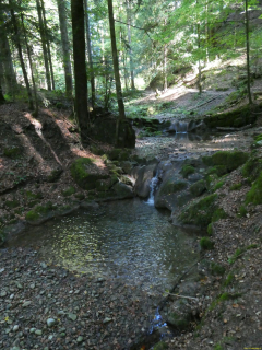 2026-10-06-SAC-Fi-Huettchopf-Wa-081
