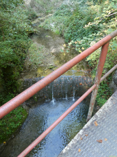 2026-10-06-SAC-Fi-Huettchopf-Wa-091