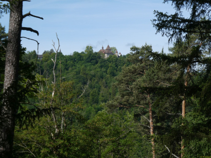 2026-05-19-SAC-Kyburg-Eschentu-008