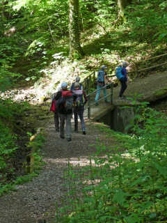 2026-05-19-SAC-Kyburg-Eschentu-013_bearbeitet-1