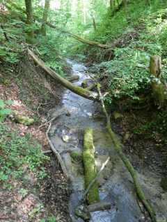 2026-05-19-SAC-Kyburg-Eschentu-014