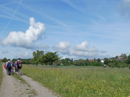 2026-05-19-SAC-Kyburg-Eschentu-017_bearbeitet-1