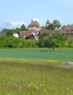 2026-05-19-SAC-Kyburg-Eschentu-018_bearbeitet-1